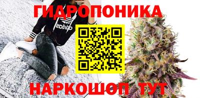 марихуана Аргун