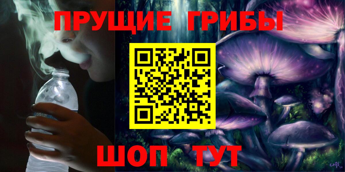 Галлюциногенные грибы Magic Shrooms  Вход с VPN  Апшеронск  Псилоцибиновые грибы GOLDEN TEACHER 