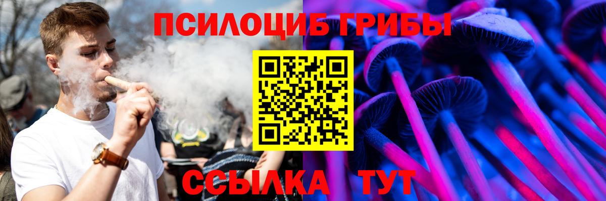 Галлюциногенные грибы GOLDEN TEACHER Апшеронск